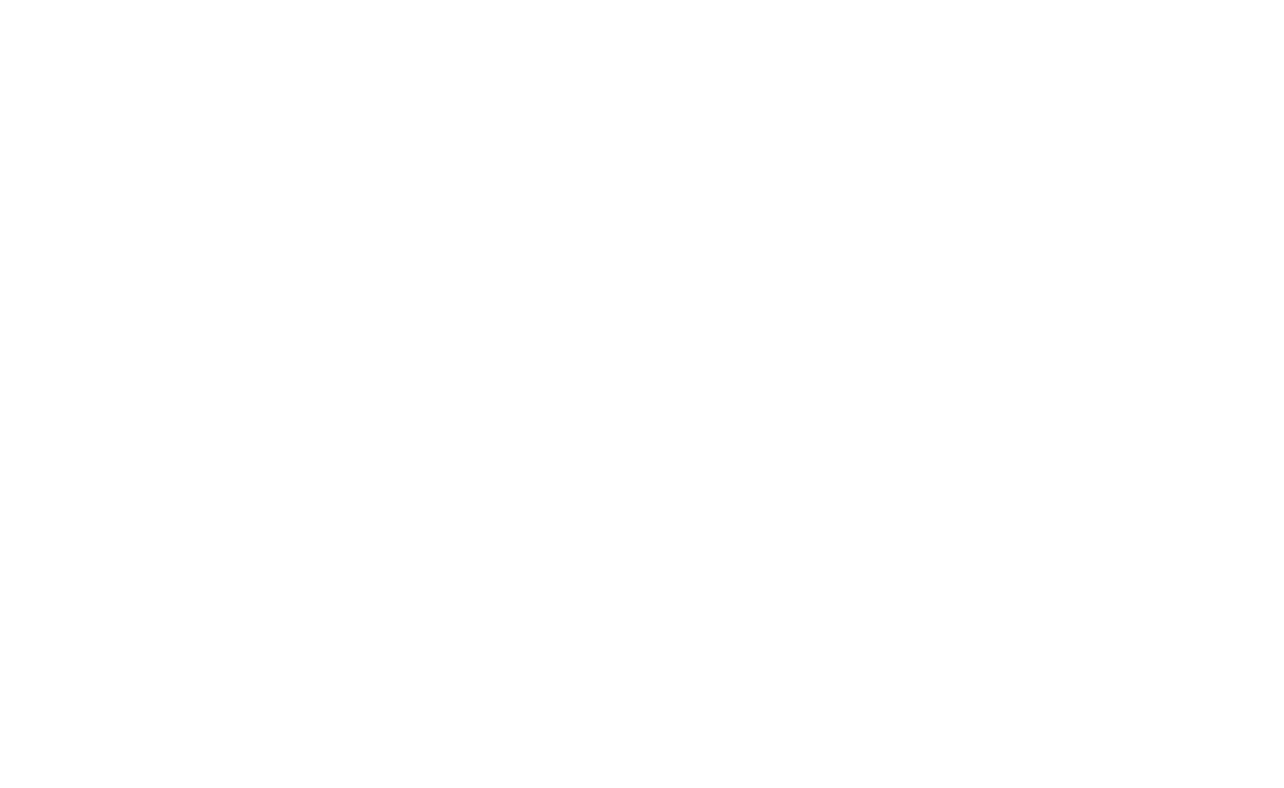 logo light